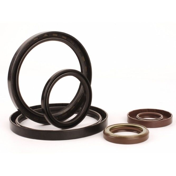 হাইড্রোলিক সিলিন্ডারের জন্য PTFE 304 FP টাইপ সিমরিং ইউ-সিল