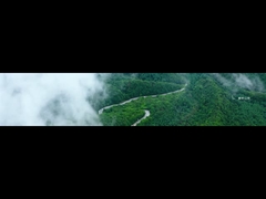 কোলন কোম্পানির উন্নয়ন