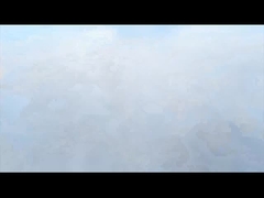 কেলং কোম্পানির উন্নয়ন